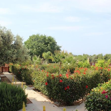 Kavalla Forest Villas بافوس المظهر الخارجي الصورة