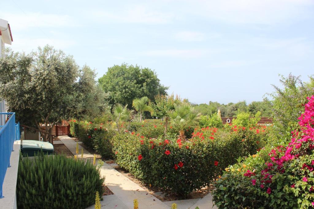 Kavalla Forest Villas بافوس المظهر الخارجي الصورة